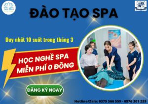 Đào tạo Spa với giá 0 đồng